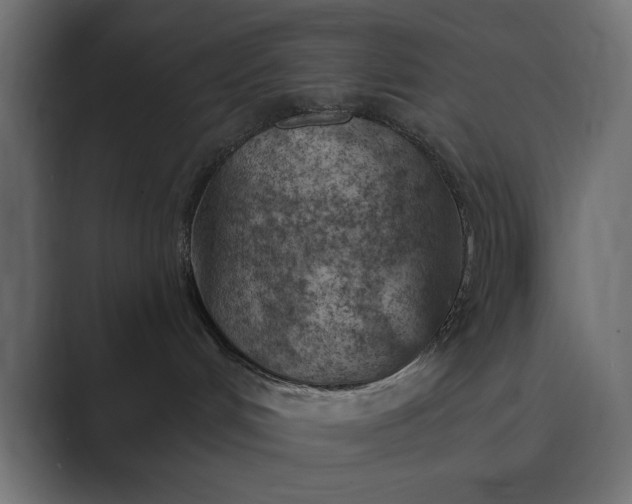 X0000089380048200706291324