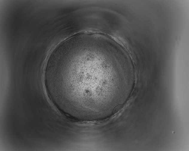 X0000089380049200706291324