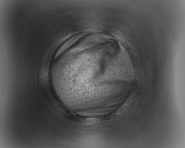 X0000089380050200706291324