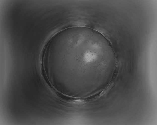 X0000089380053200706291324