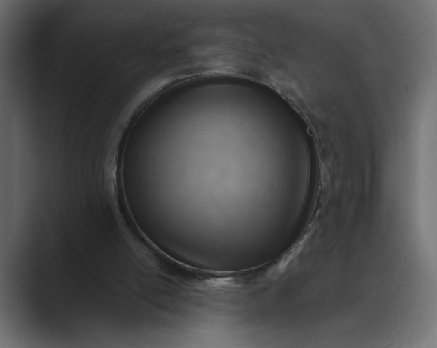 X0000089380054200706291324