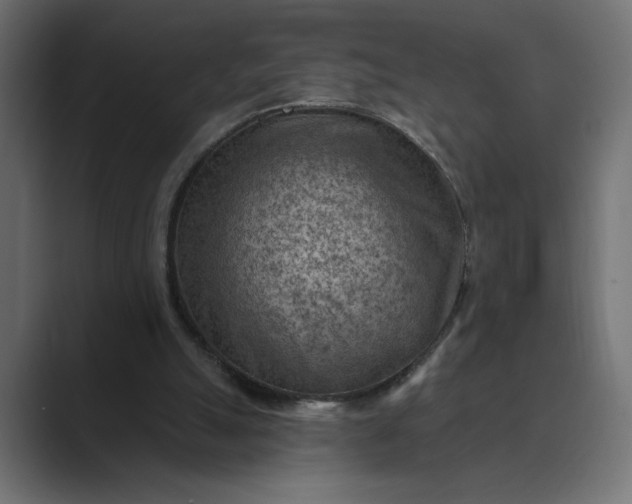 X0000089380055200706291324