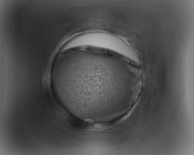 X0000089380056200706291324