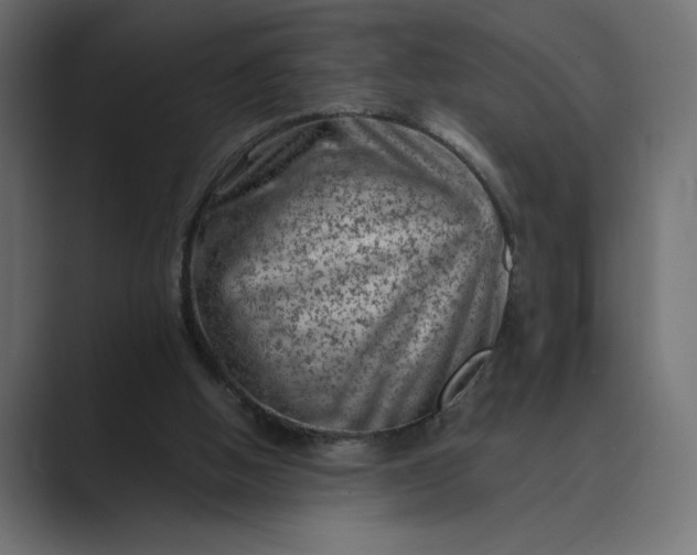 X0000089380058200706291324