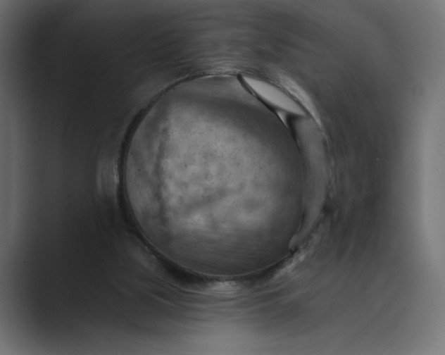 X0000089380059200706291324