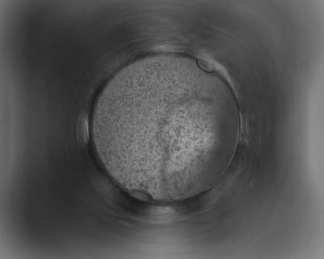X0000089380061200706291324