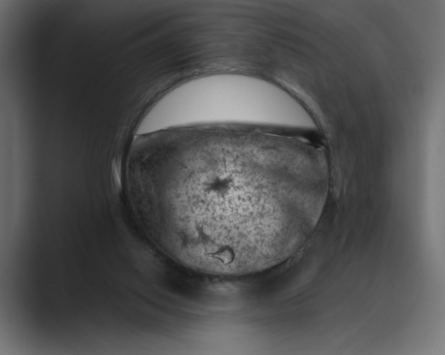 X0000089380062200706291324