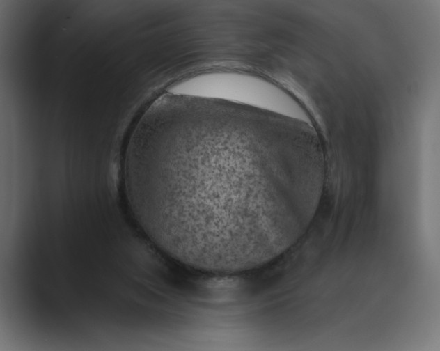 X0000089380063200706291324