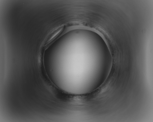 X0000089380064200706291324
