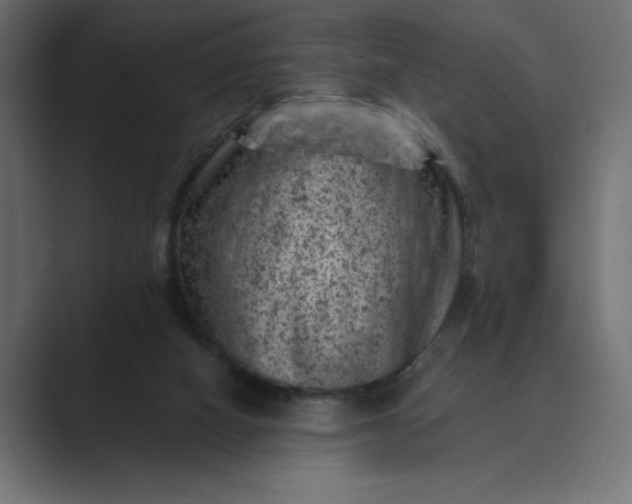 X0000089380066200706291324