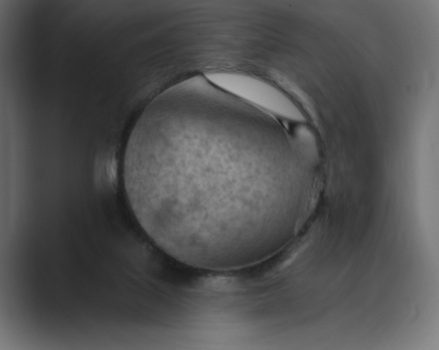 X0000089380067200706291324