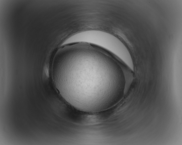 X0000089380068200706291324