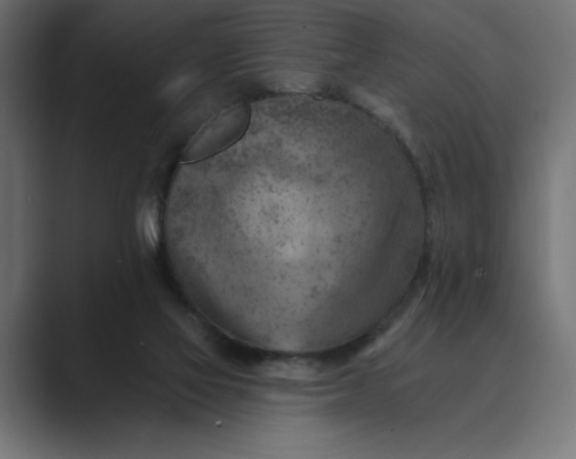 X0000089380069200706291324