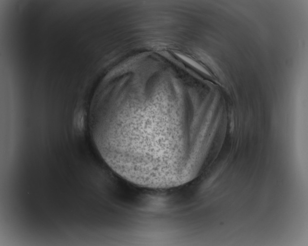 X0000089380071200706291324