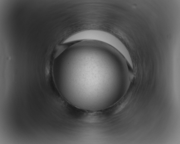 X0000089380072200706291324