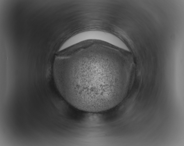 X0000089380073200706291324