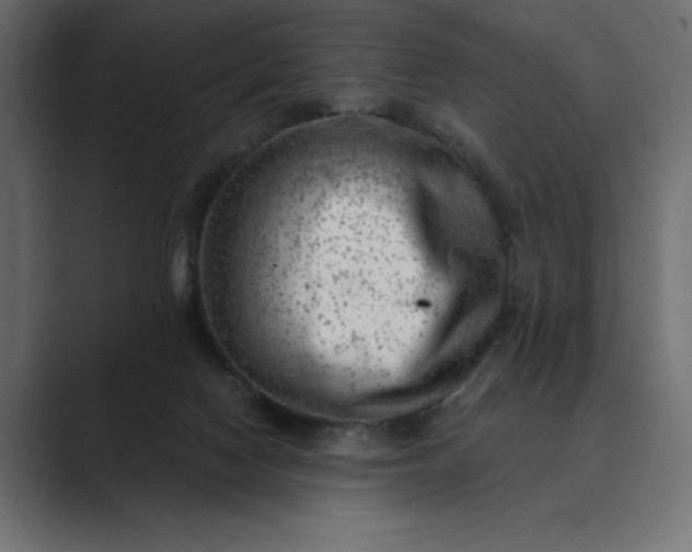 X0000089380074200706291324