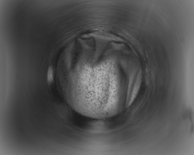 X0000089380075200706291324