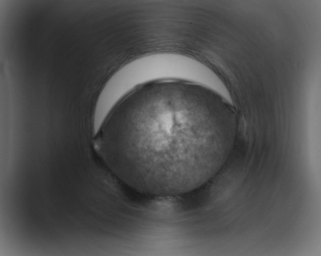 X0000089380076200706291324