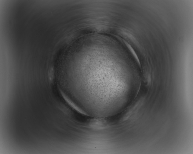 X0000089380077200706291324
