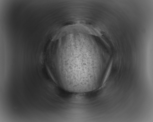 X0000089380078200706291324