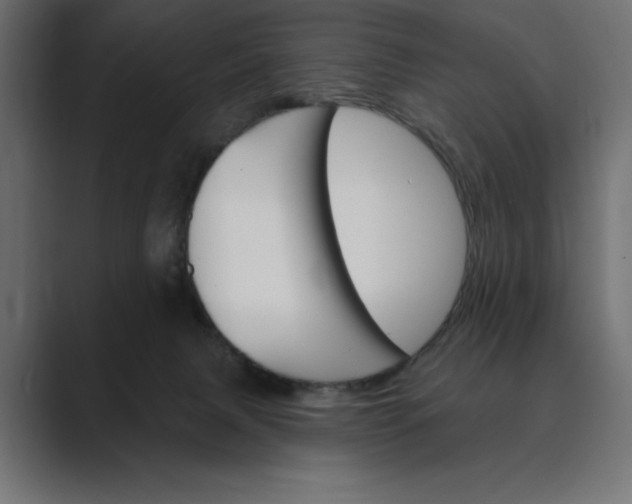 X0000089380079200706291324