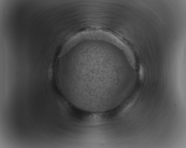 X0000089380080200706291324