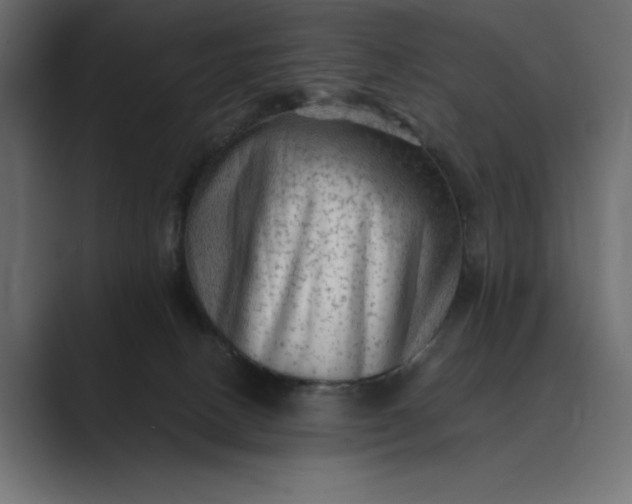 X0000089380082200706291324