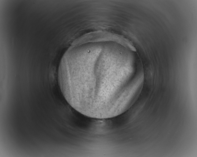X0000089380083200706291324