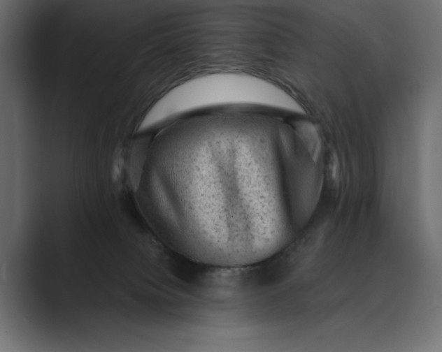 X0000089380084200706291324