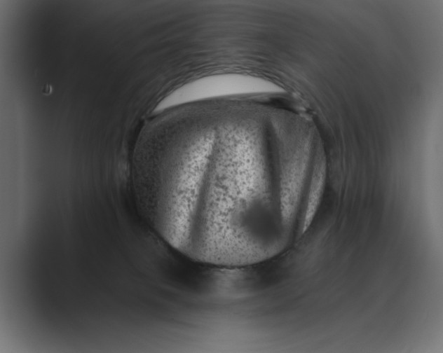 X0000089380085200706291324
