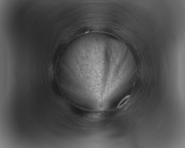 X0000089380086200706291324