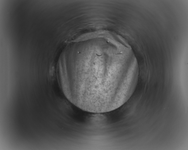 X0000089380087200706291324