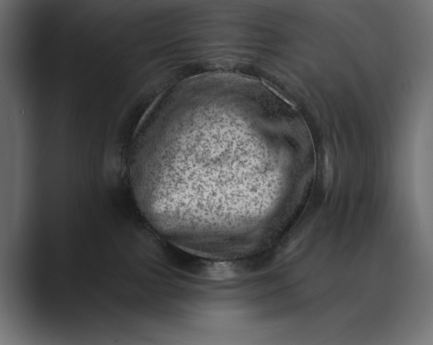 X0000089380091200706291324