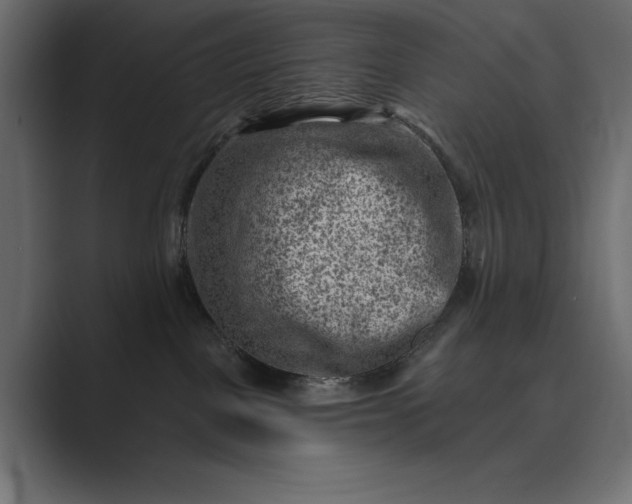 X0000089380093200706291324