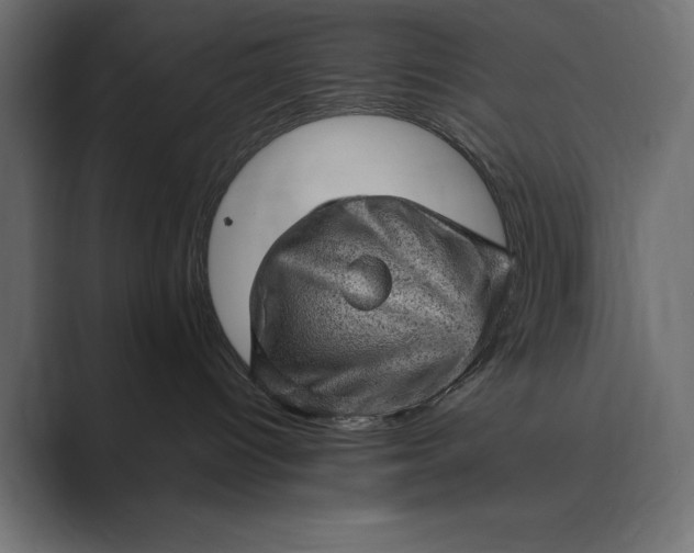 X0000089380096200706291324