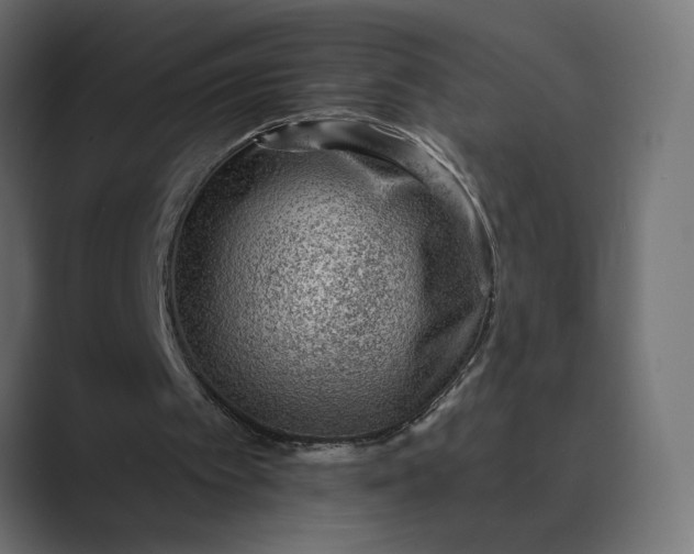 X0000089380097200706291324