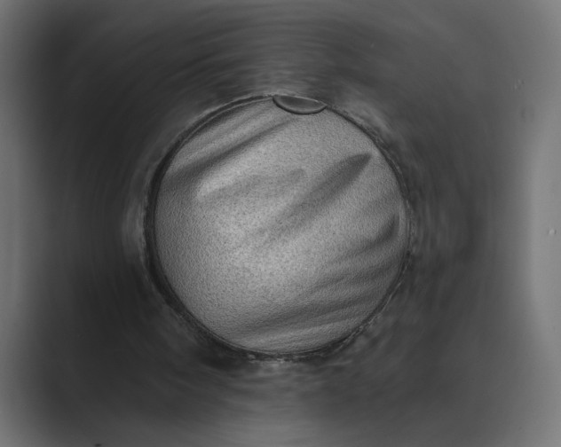 X0000089380098200706291324