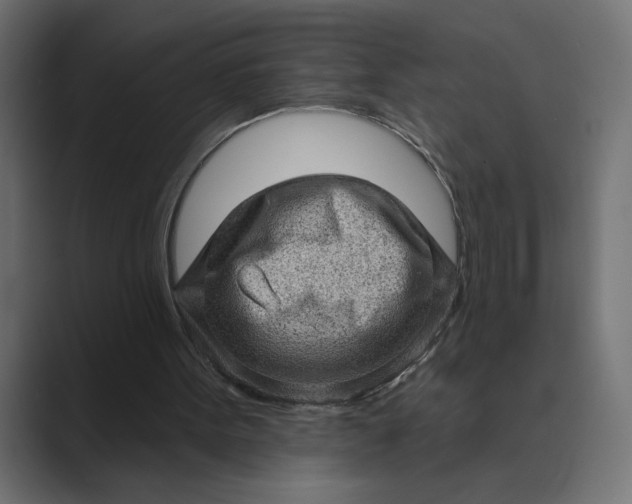 X0000089380099200706291324