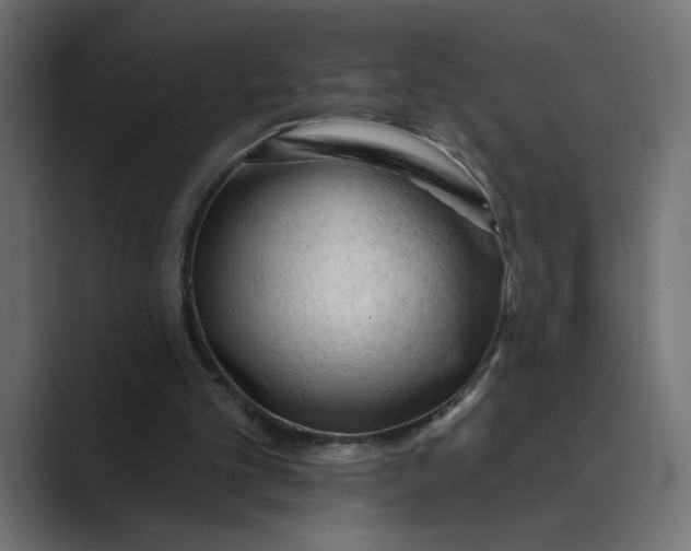 X0000089380101200706291324