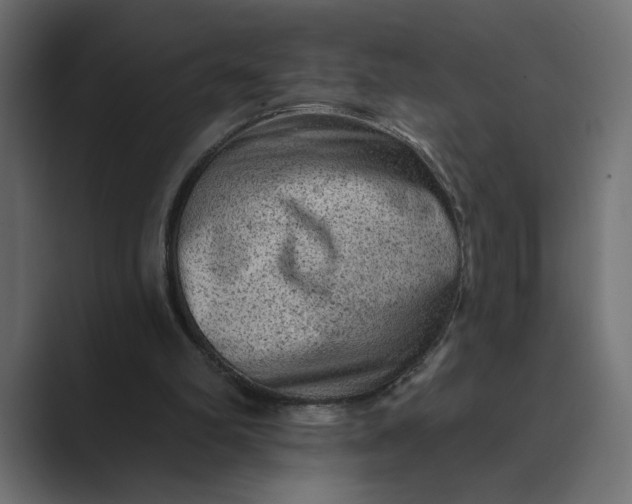 X0000089380102200706291324