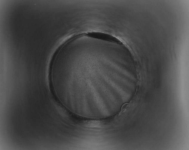 X0000089380104200706291324