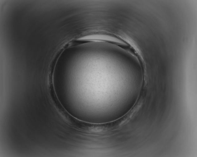 X0000089380105200706291324