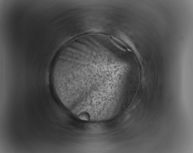 X0000089380106200706291324