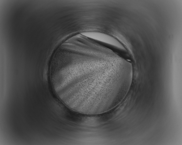 X0000089380107200706291324