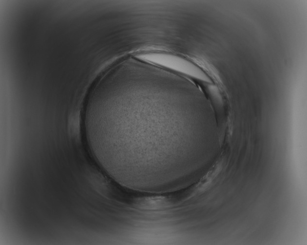 X0000089380108200706291324