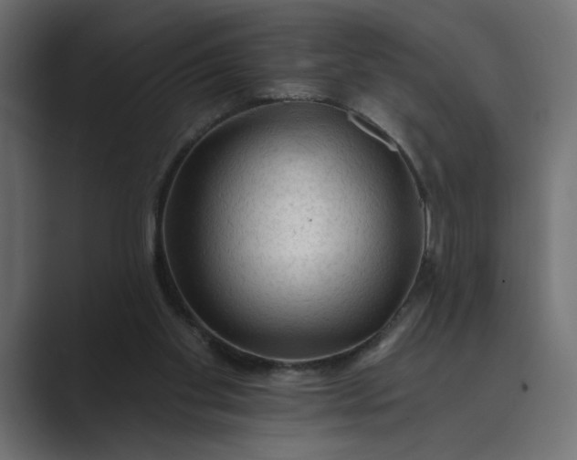 X0000089380109200706291324