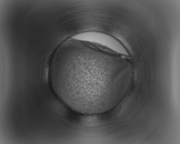 X0000089380110200706291324