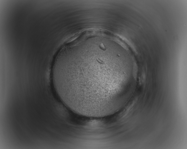 X0000089380111200706291324