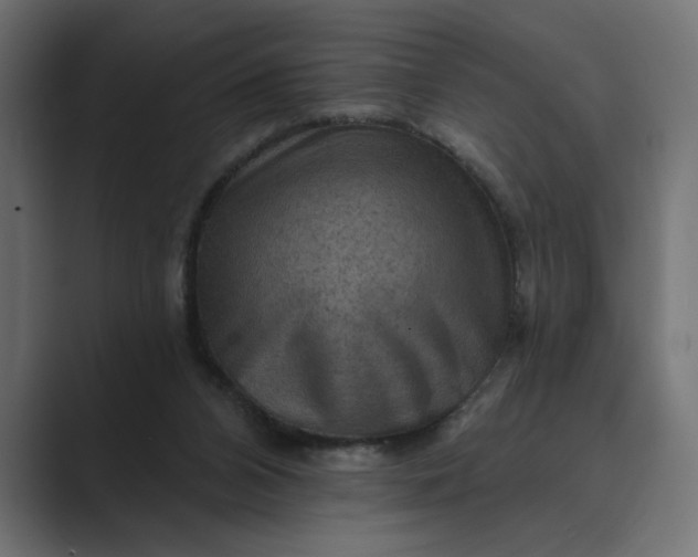 X0000089380112200706291324